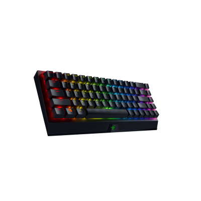 Razer BlackWidow V3 Mini Keyboard