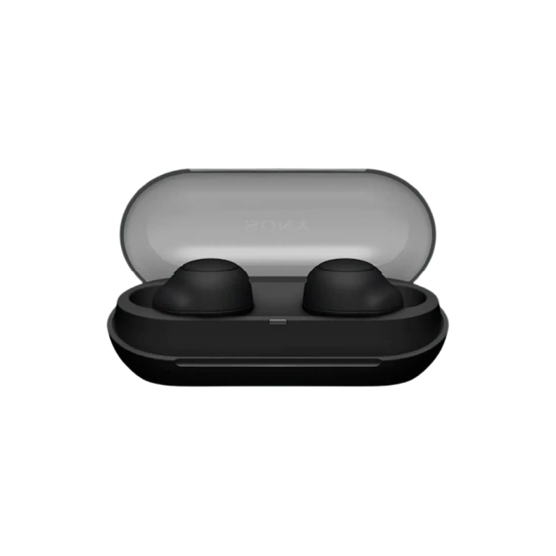 Sony WF-C500 True Wireless Earbuds